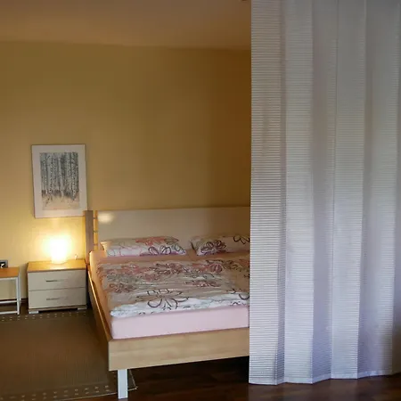 Gemuetliche Am Nationalpark Harz Mit Parkplatz Am Haus Apartment *