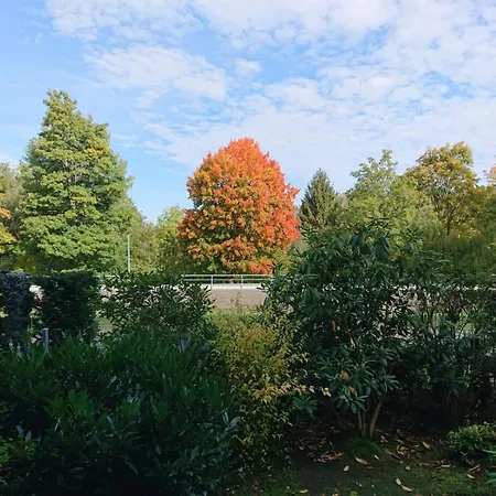Apartamento Gemuetliche Am Nationalpark Harz Mit Parkplatz Am Haus