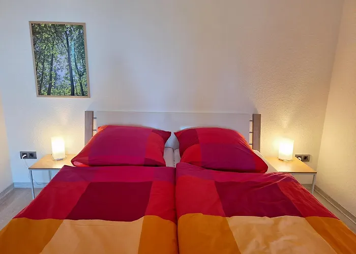 Gemuetliche Am Nationalpark Harz Mit Parkplatz Am Haus Апартаменты *